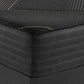 Beautyrest Black Hybrid KX-Class 15" Plush Mattress