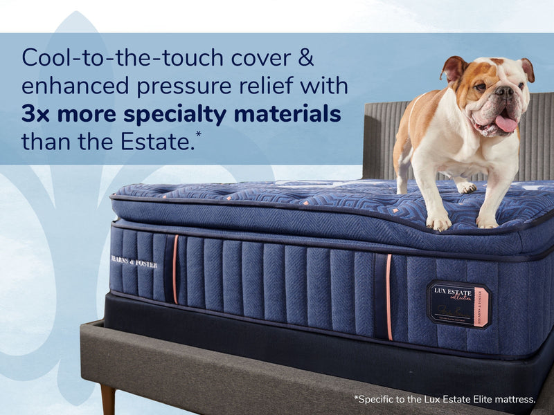 Stearns & Foster Lux Estate® Elite 16" Medium Euro Pillow Top Mattress