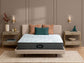 Beautyrest Pressure Smart 2.0 11.75"