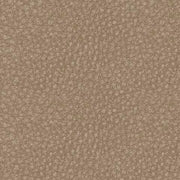 61004/46/58/62 : 61004S2