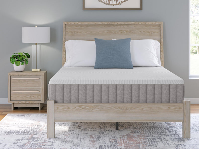 Ashley Express - Terra Sleep Firm  Mattress