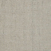 A1001096T