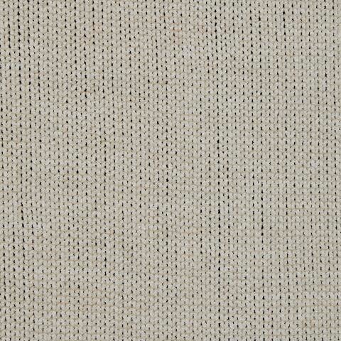 A1001096T