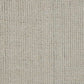 A1001096T