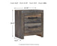 Drystan Queen Panel Bed with 2 Storage Drawers with Mirrored Dresser and Nightstand