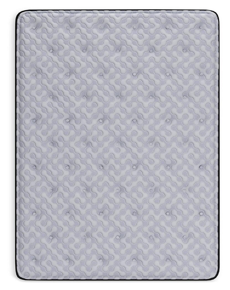 Ashley Express - Anniversary Edition Plush  Mattress